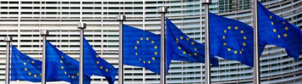 European union flag