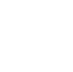 translate-1