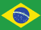 Flag of Brazil Icon