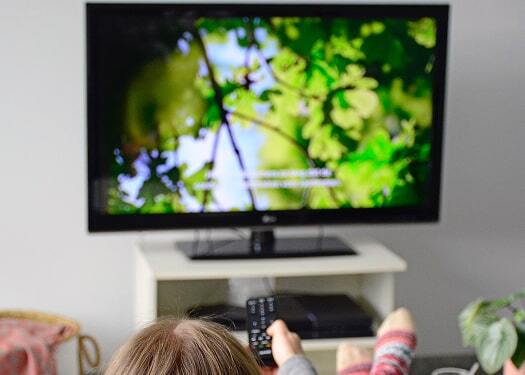 Child sitting in front of a television watching a nature program with subtitles on screen