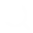 Search Icon